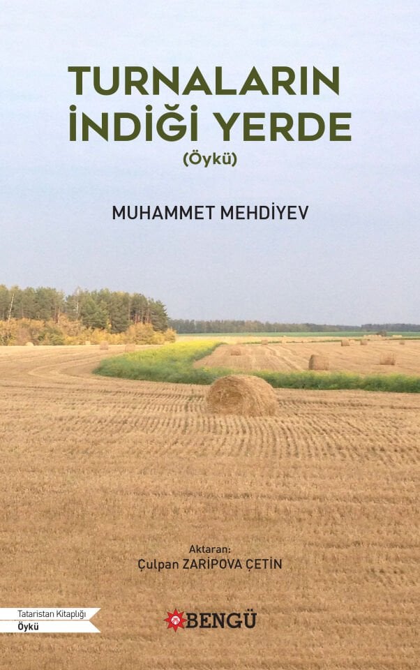 TURNALARIN İNDİĞİ YERDE  (Öykü)