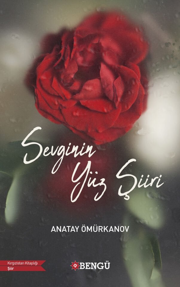 SEVGİNİN YÜZ ŞİİRİ