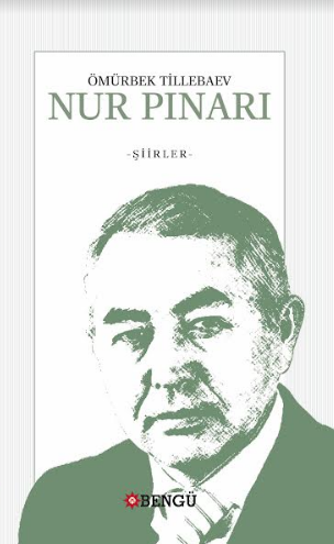 NUR PINARI